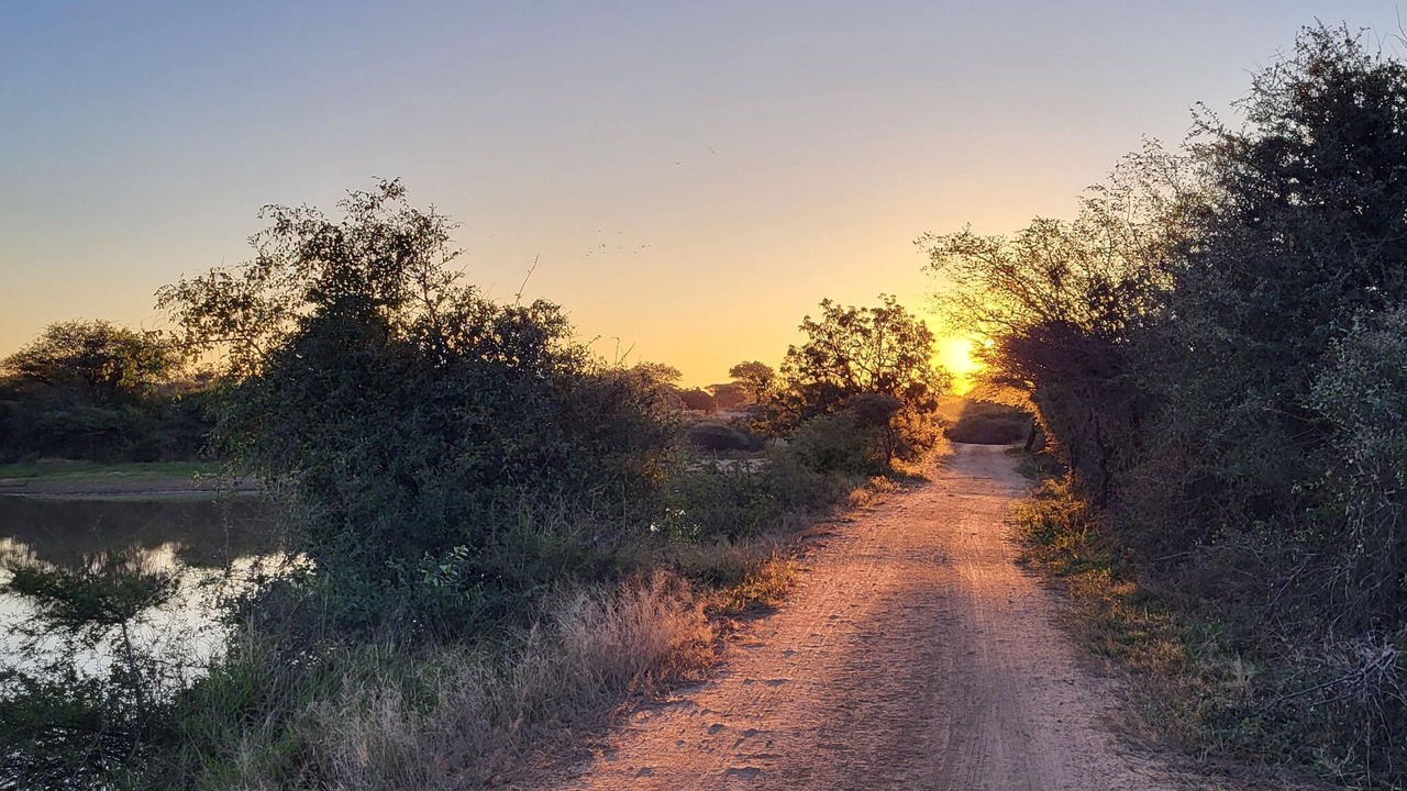 Photo of Others in Hoedspruit