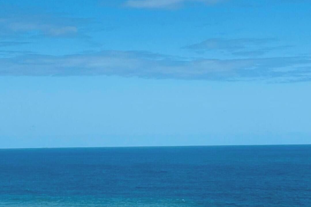 Photo of Others in Sheffield Beach