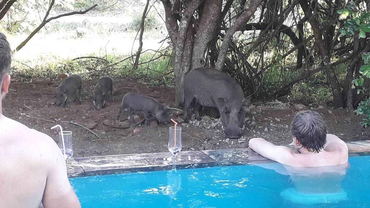 Photo of Outdoor in Marloth Park
