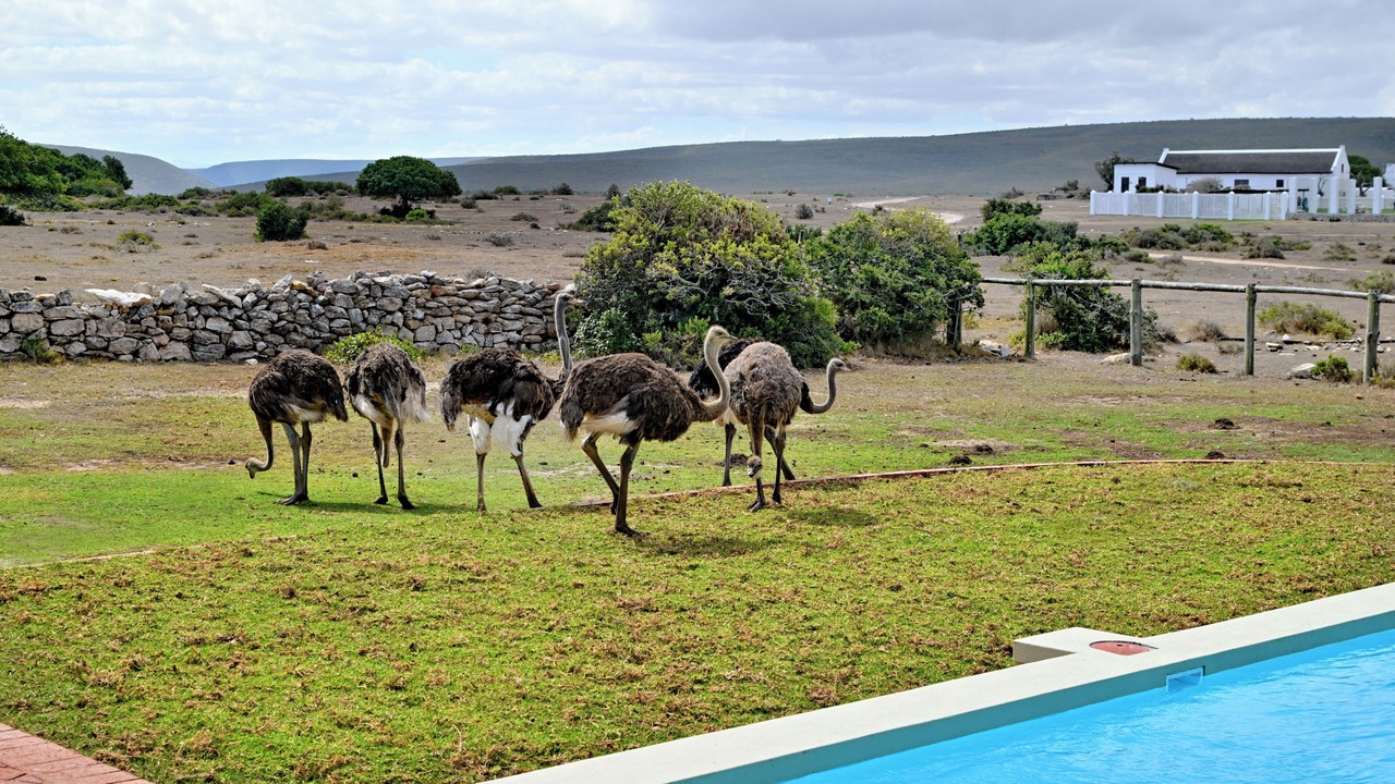 Photo of Others in Bredasdorp