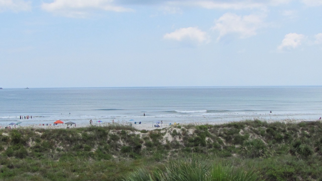 Photo of Others in Butler Beach
