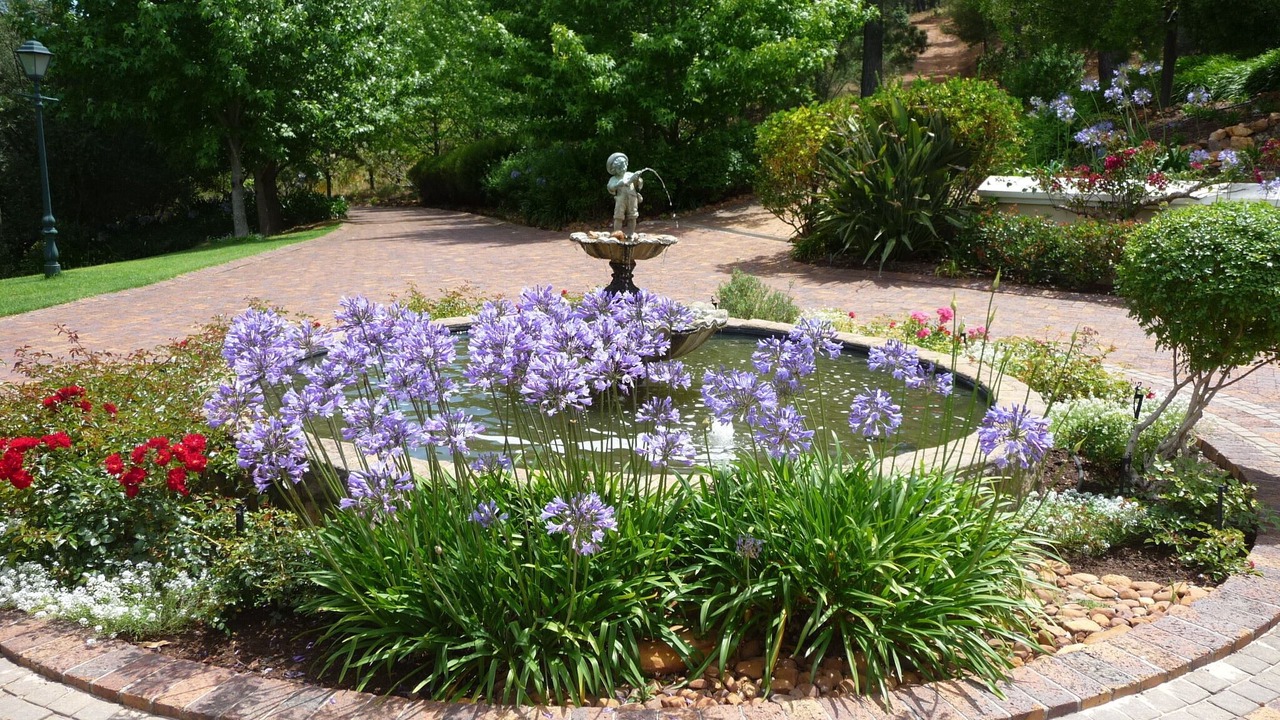 Photo of Outdoor in Stellenbosch