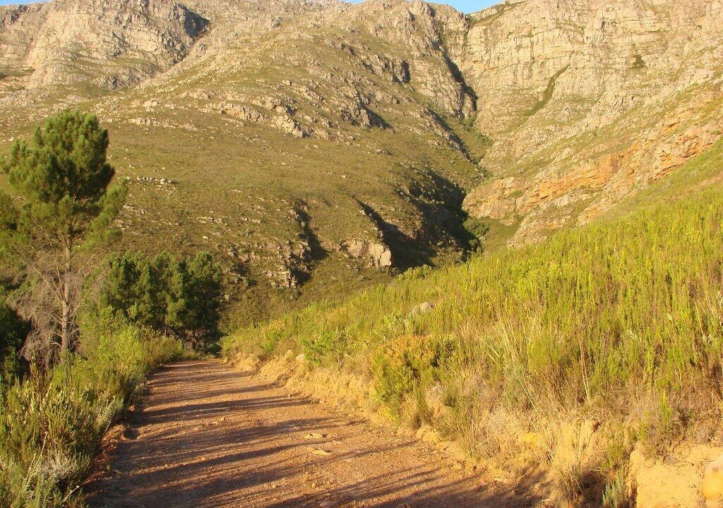 Photo of Outdoor in Stellenbosch
