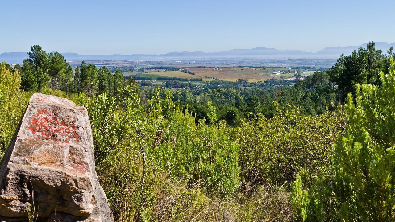 Photo of Outdoor in Stellenbosch