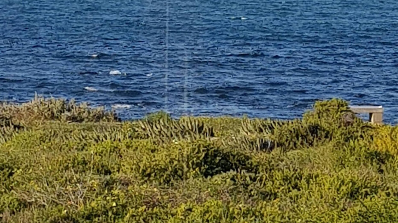 Photo of Others in St. Helena Bay