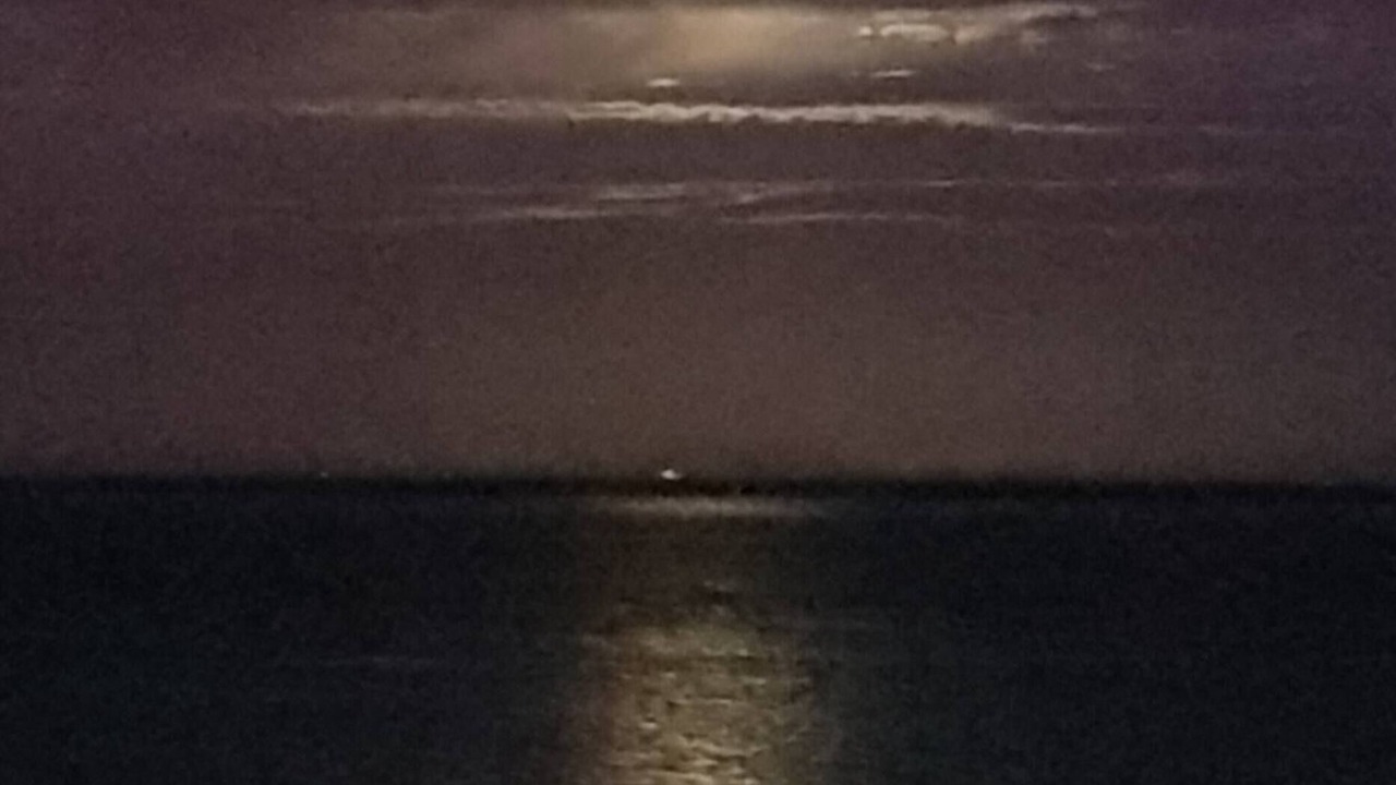 Photo of Others in St. Helena Bay