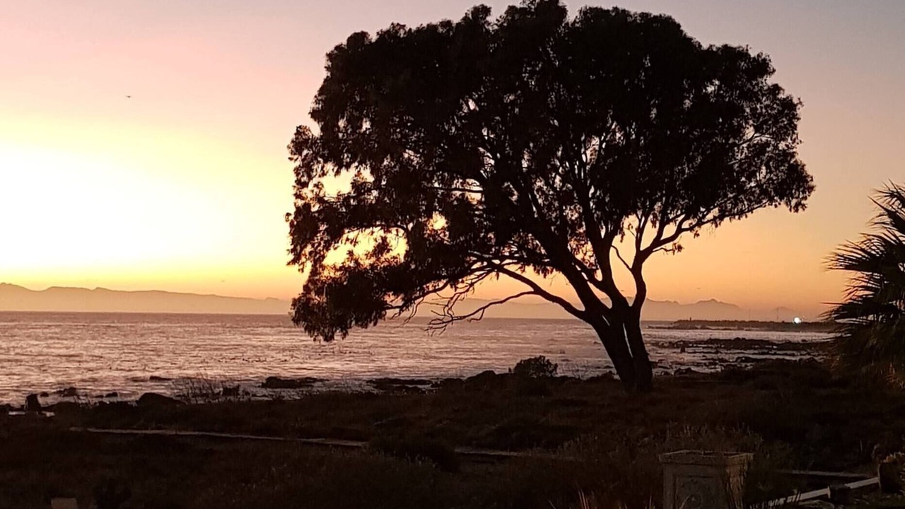Photo of Others in St. Helena Bay