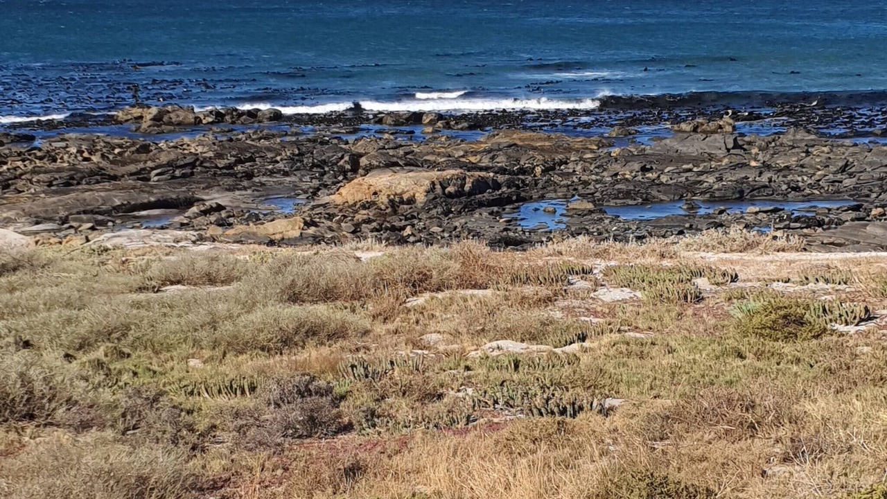 Photo of Others in St. Helena Bay