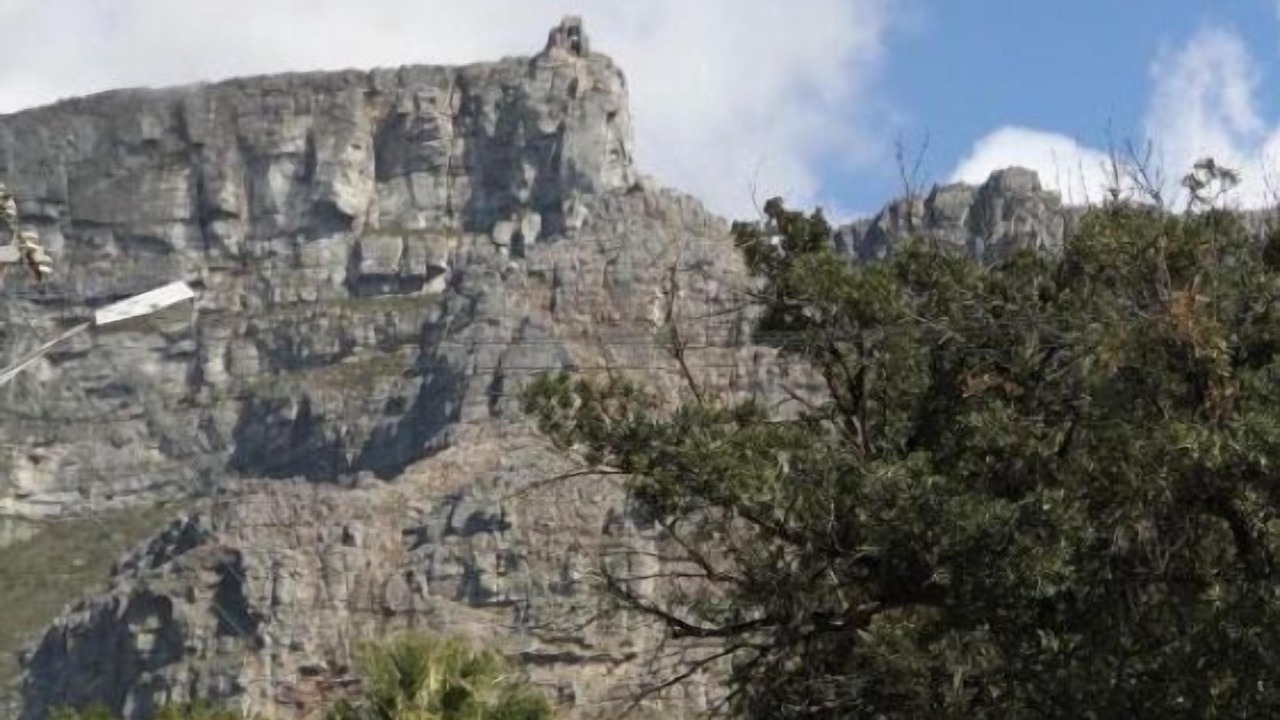 Photo of Others in Cape Town City Centre