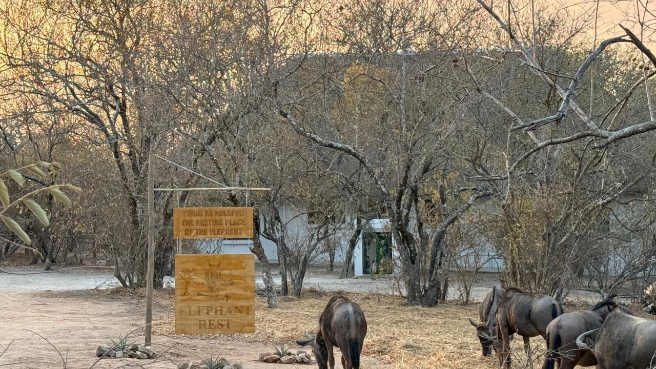 Photo of Others in Marloth Park