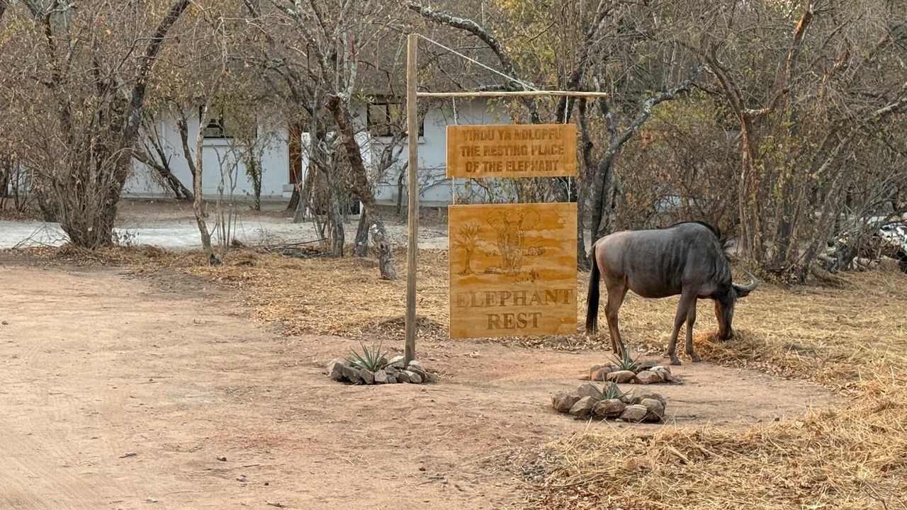 Photo of Others in Marloth Park