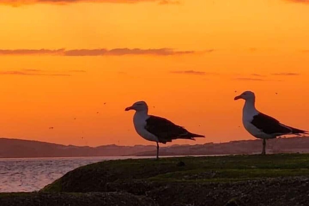Photo of Others in Langebaan