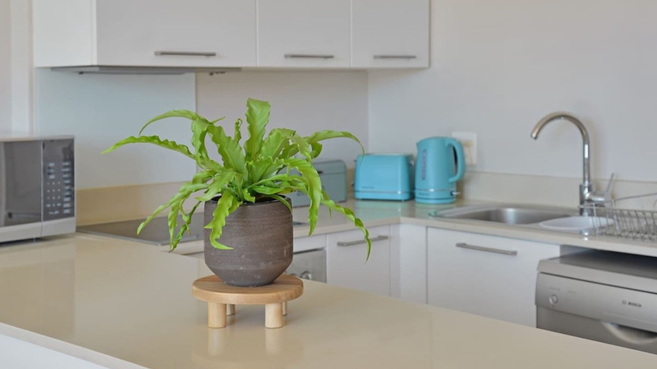 Photo of Kitchen in Victoria and Alfred Waterfront