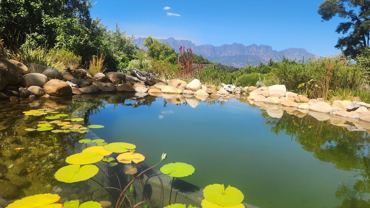 Photo of Outdoor in Somerset West