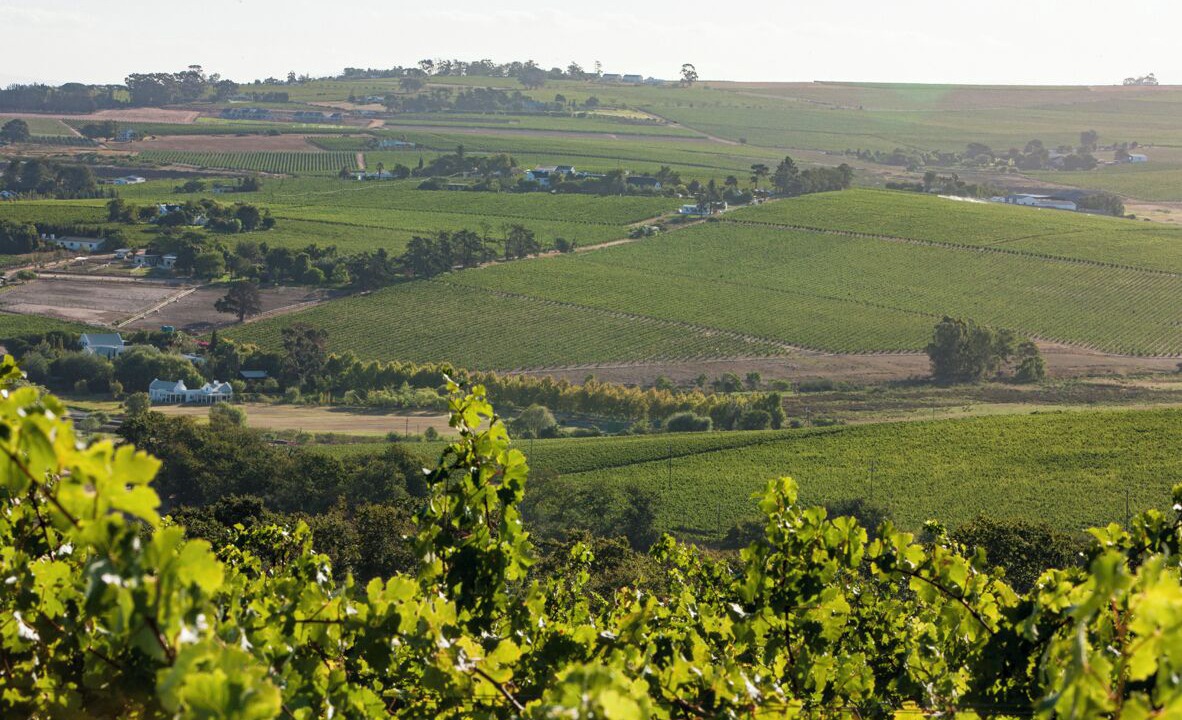 Photo of Outdoor in Trawal
