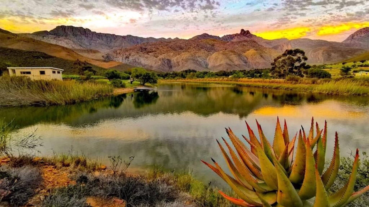 Photo of Others in Ladismith