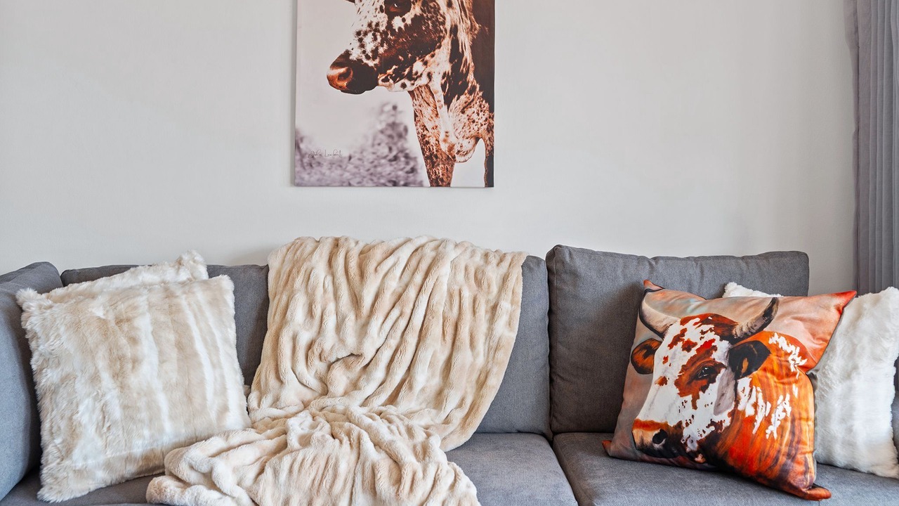Photo of Livingroom in Elgin