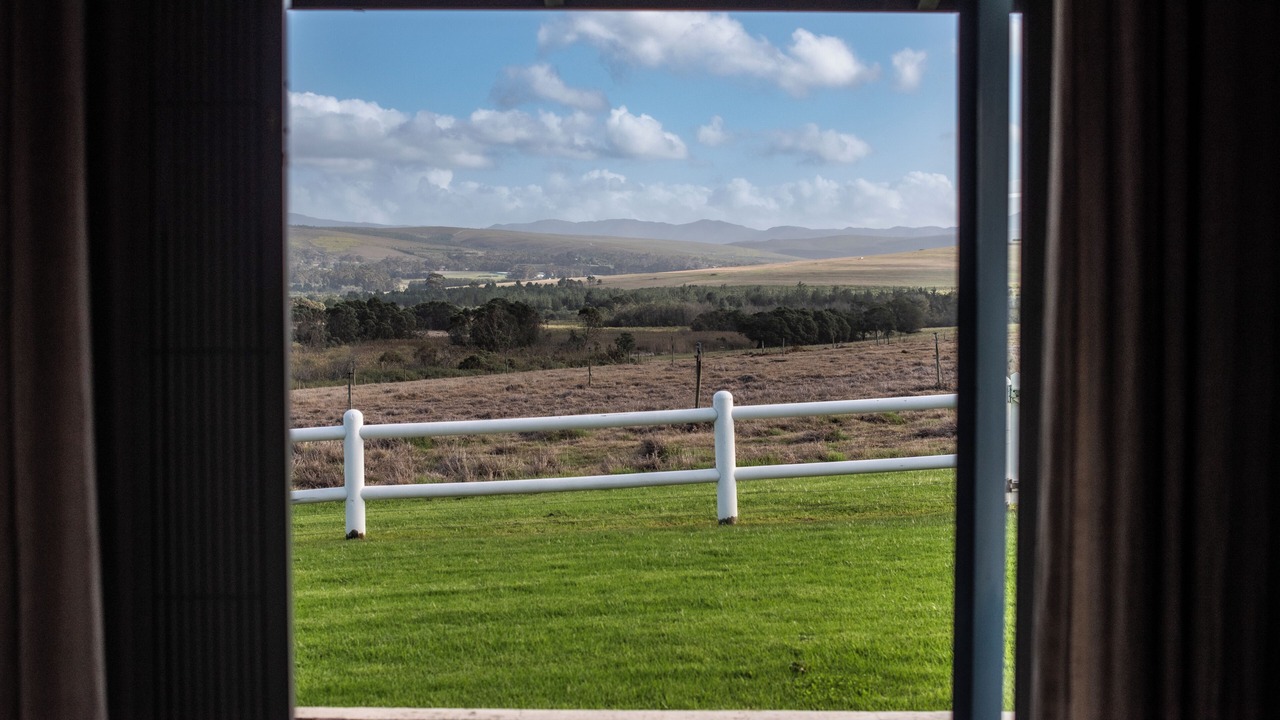 Photo of Others in Papiesvlei