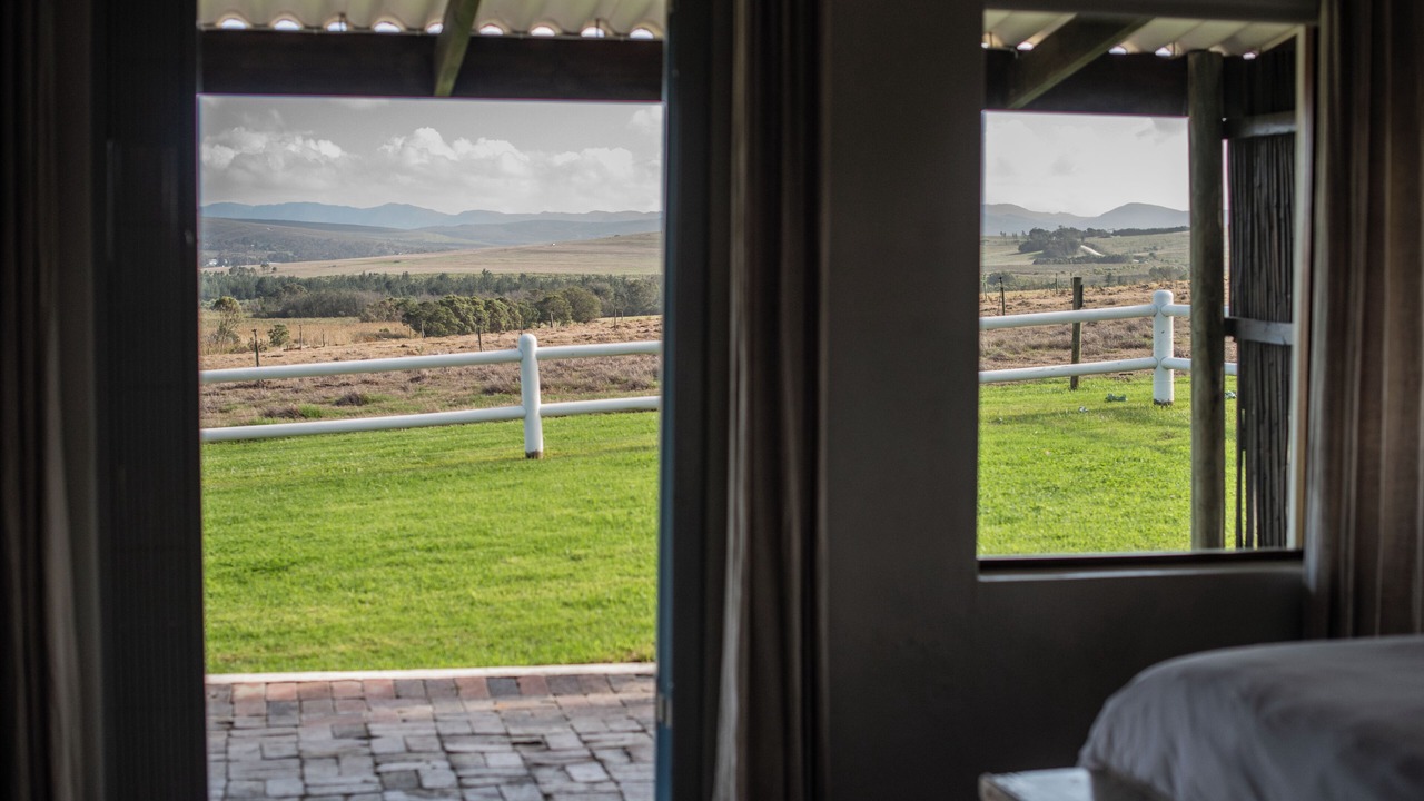 Photo of Others in Papiesvlei