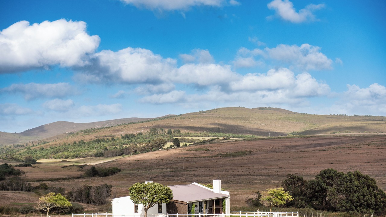 Photo of Others in Papiesvlei
