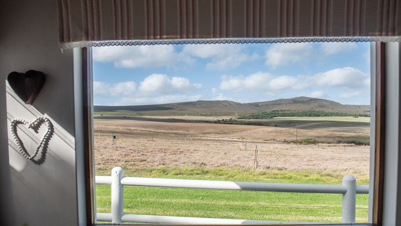 Photo of Others in Papiesvlei