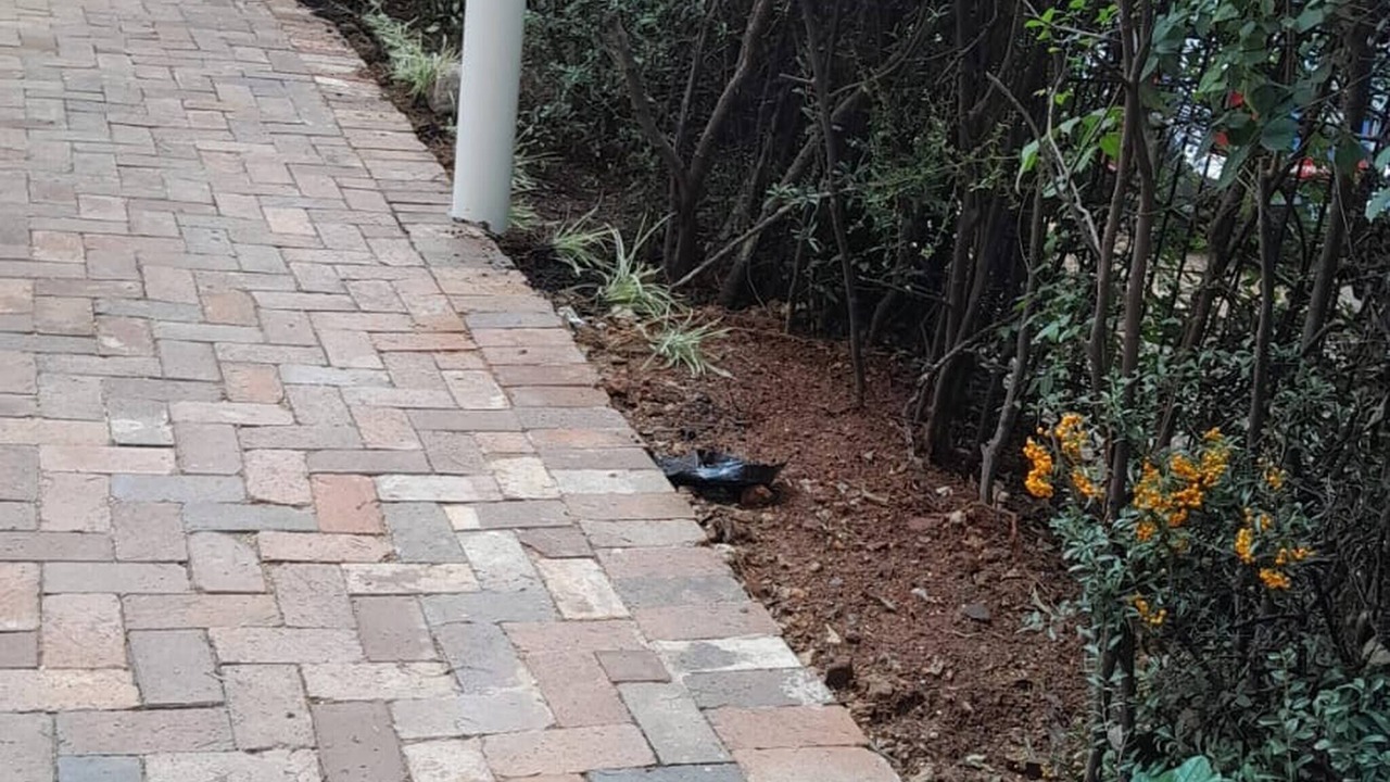 Photo of Outdoor in Greater Johannesburg Metropolitan Area