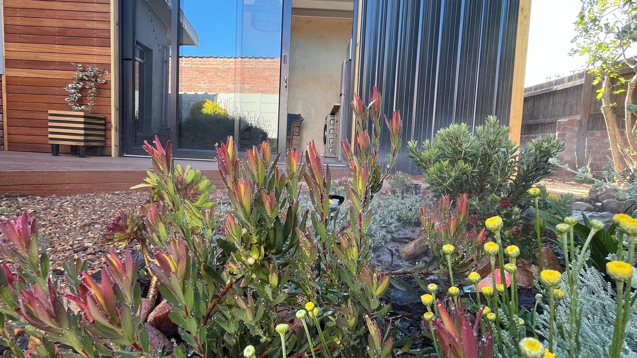 Photo of Outdoor in Kommetjie