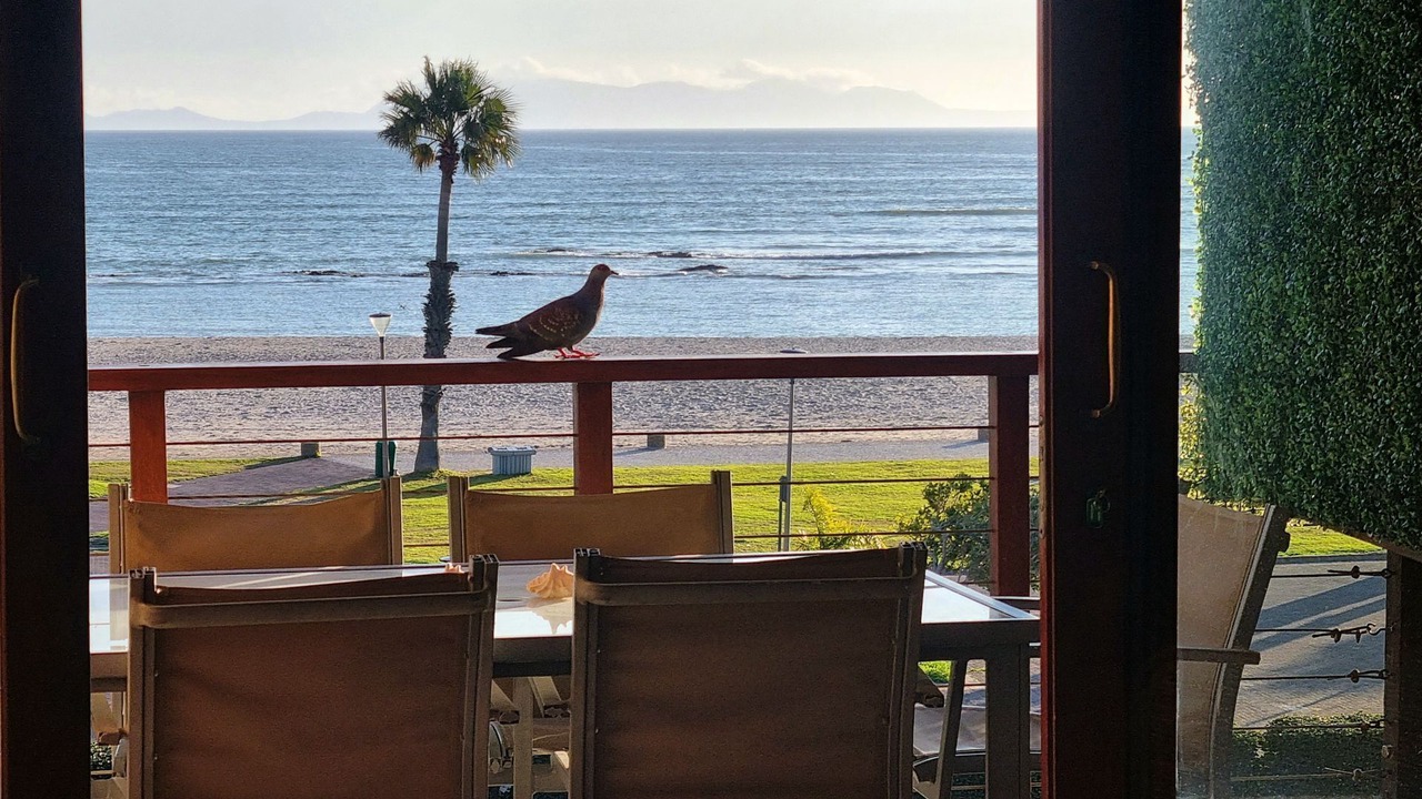 Photo of Outdoor in Gordons Bay Central