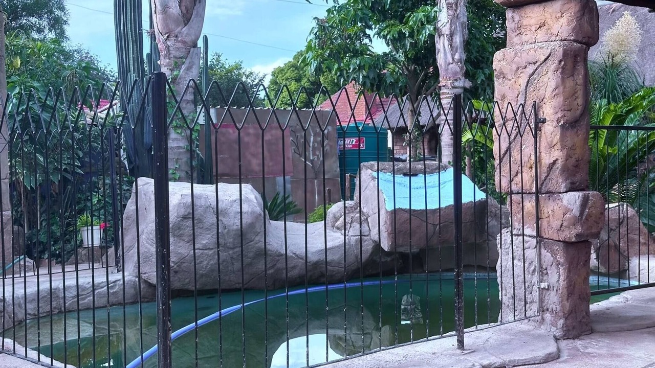 Photo of Outdoor in Greater Johannesburg Metropolitan Area
