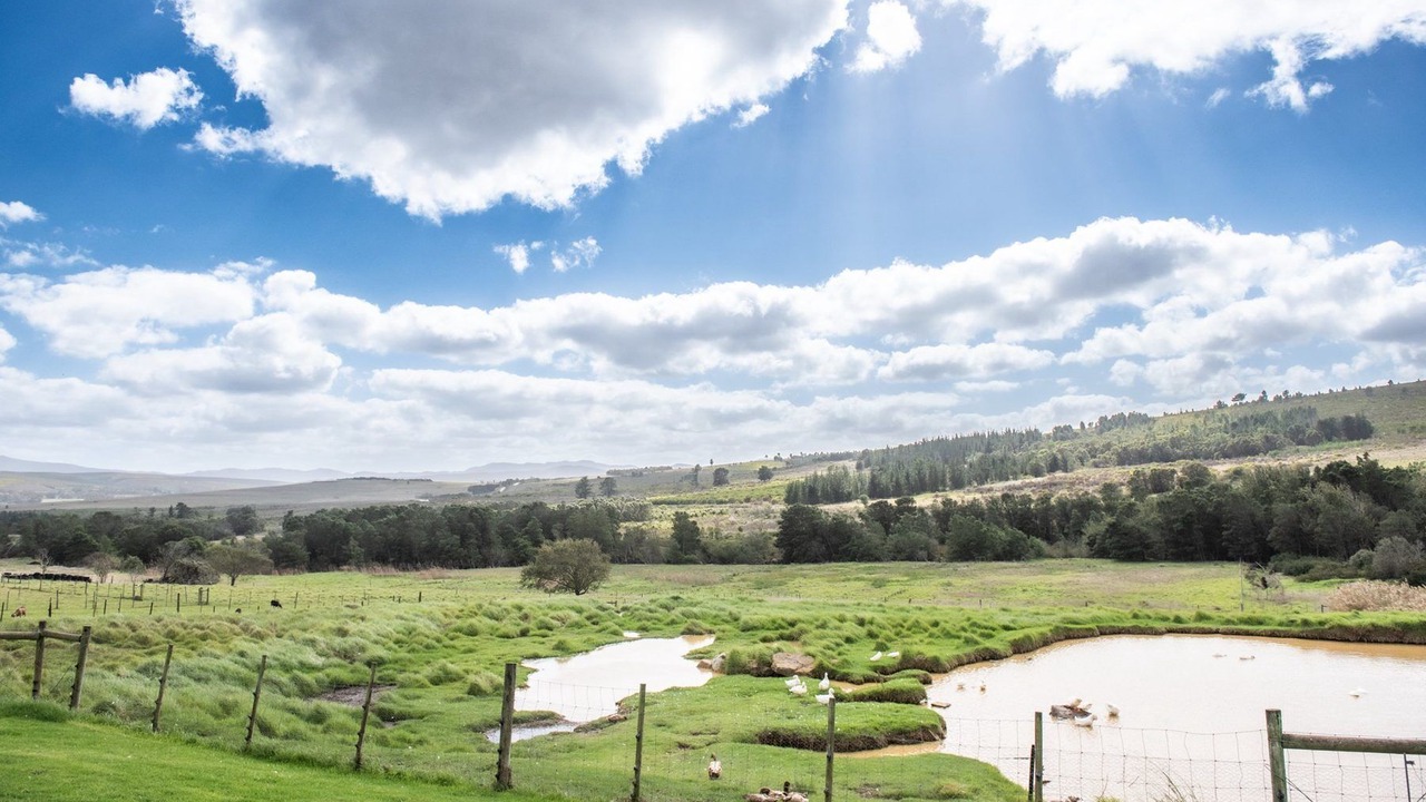 Photo of Bedroom in Papiesvlei