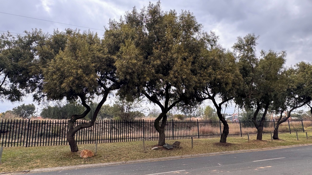 Photo of Others in Germiston