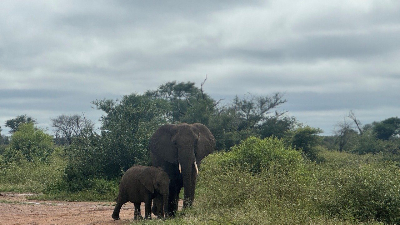 Photo of Others in Marloth Park