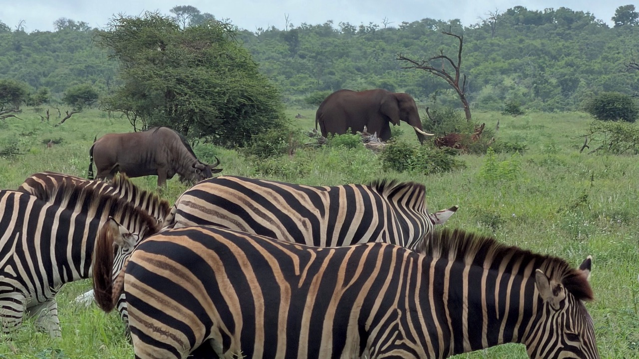 Photo of Others in Marloth Park