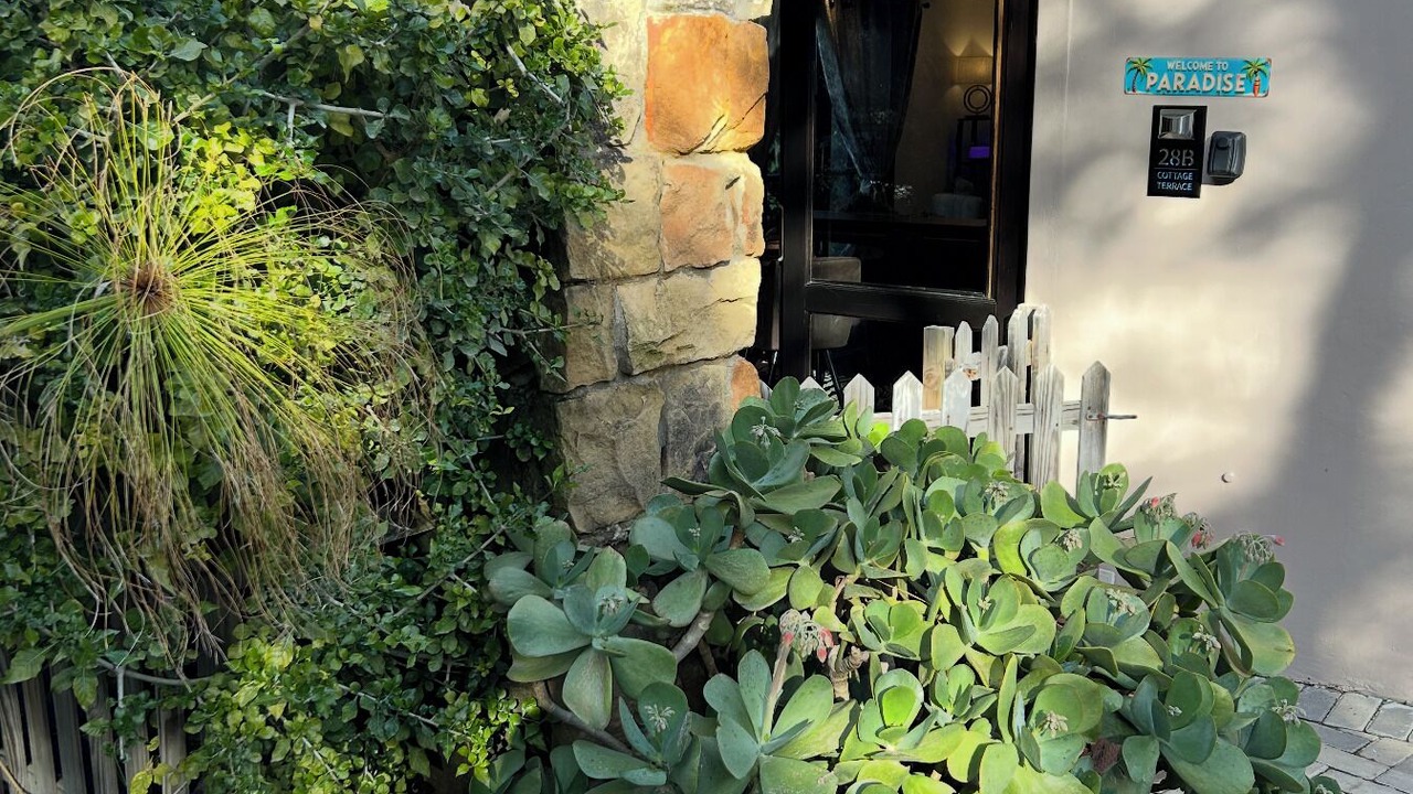Photo of Outdoor in Hout Bay