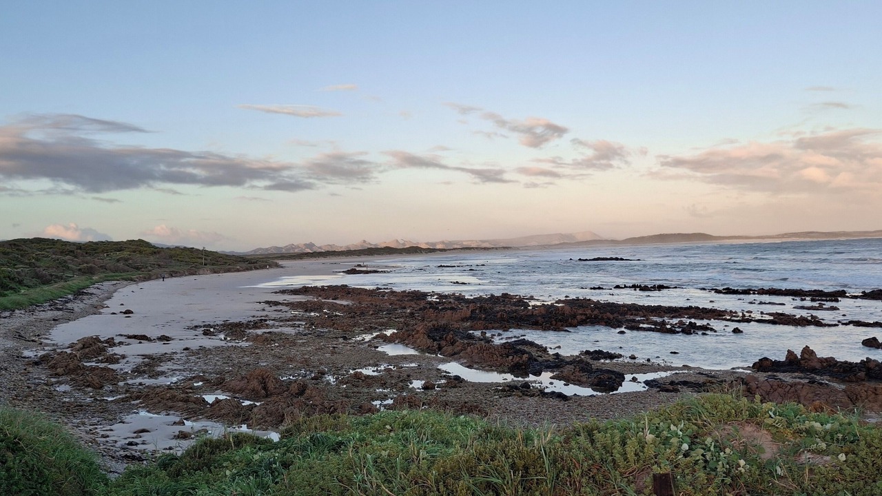 Photo of Others in Franskraal