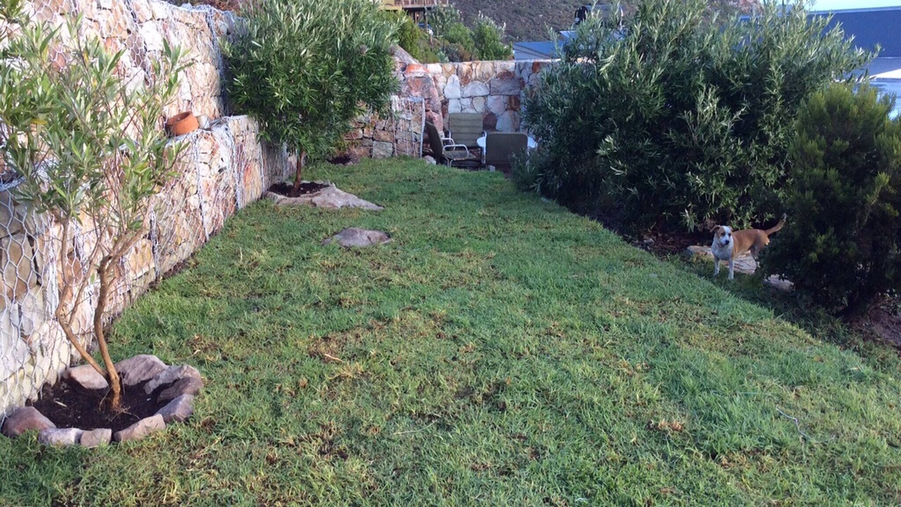 Photo of Outdoor in Cape Peninsula