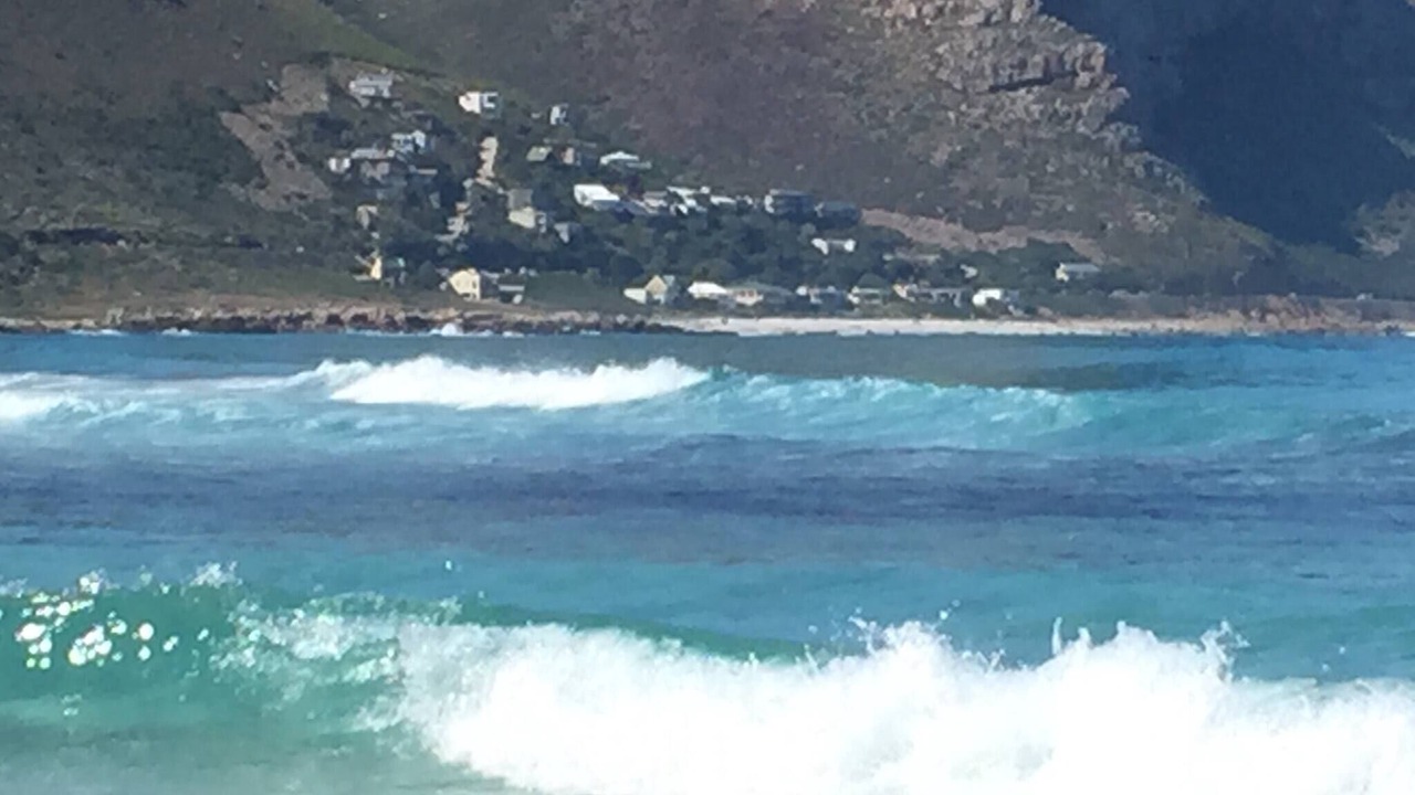 Photo of Others in Cape Peninsula