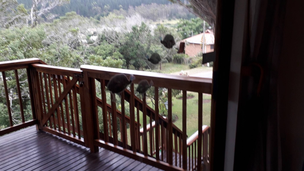 Photo of Others in Sedgefield
