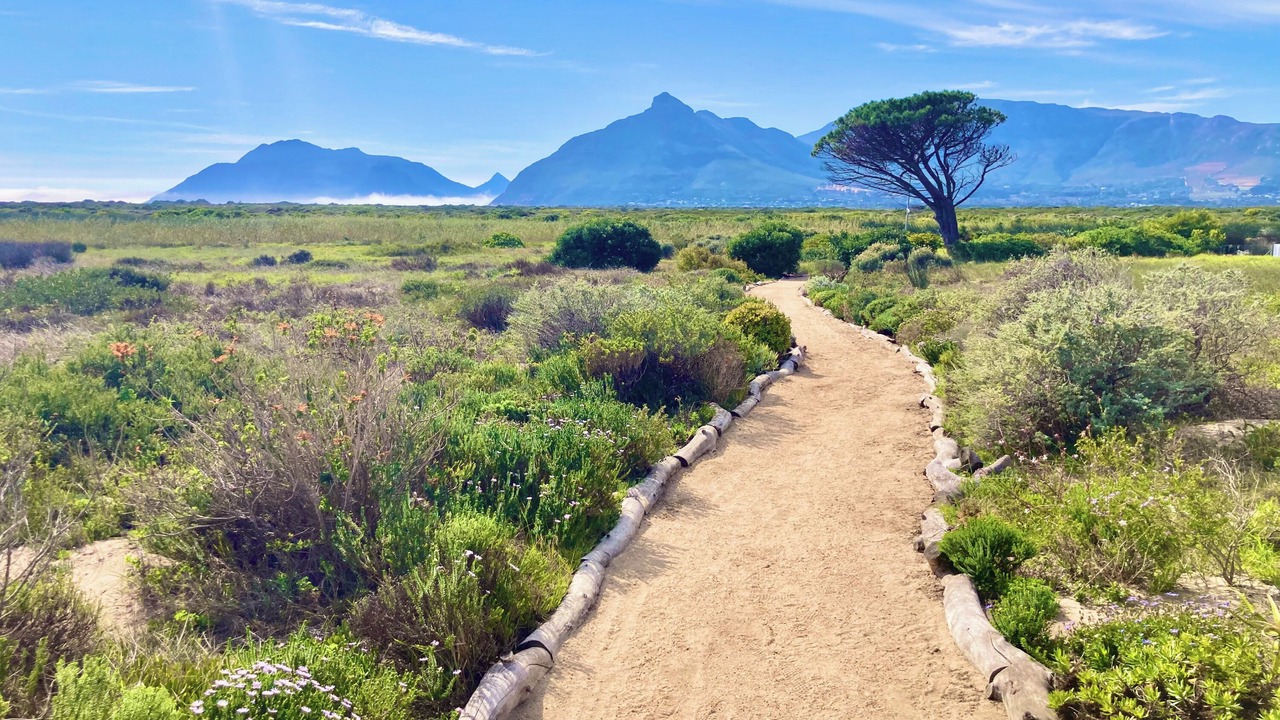Photo of Others in Kommetjie