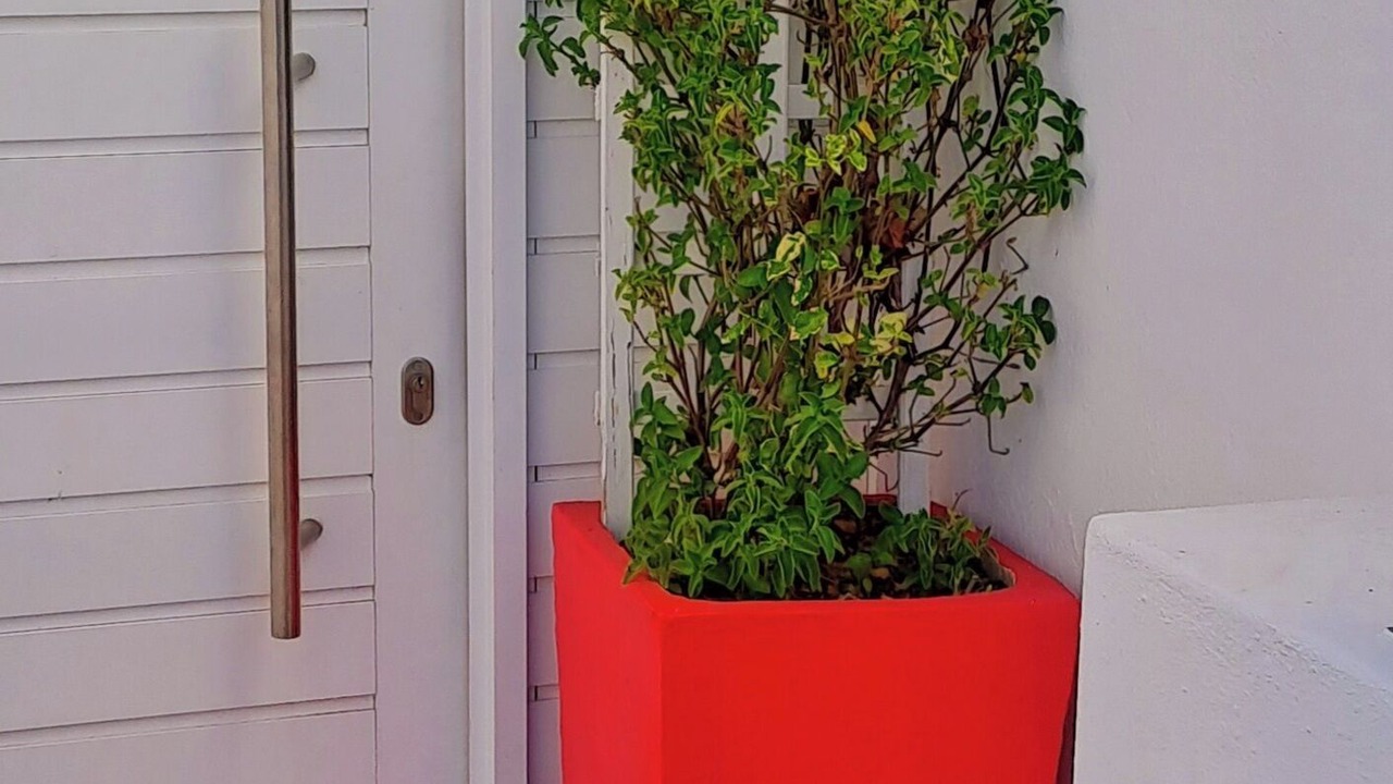 Photo of Outdoor in Marina da Gama
