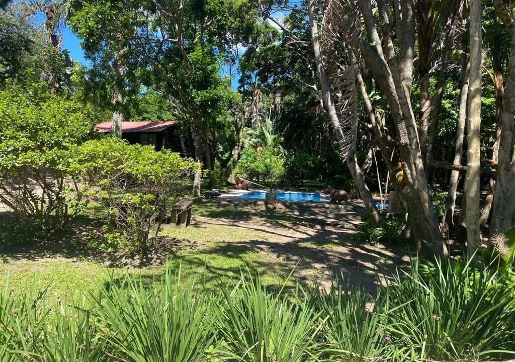 Photo of Outdoor in Palm Beach