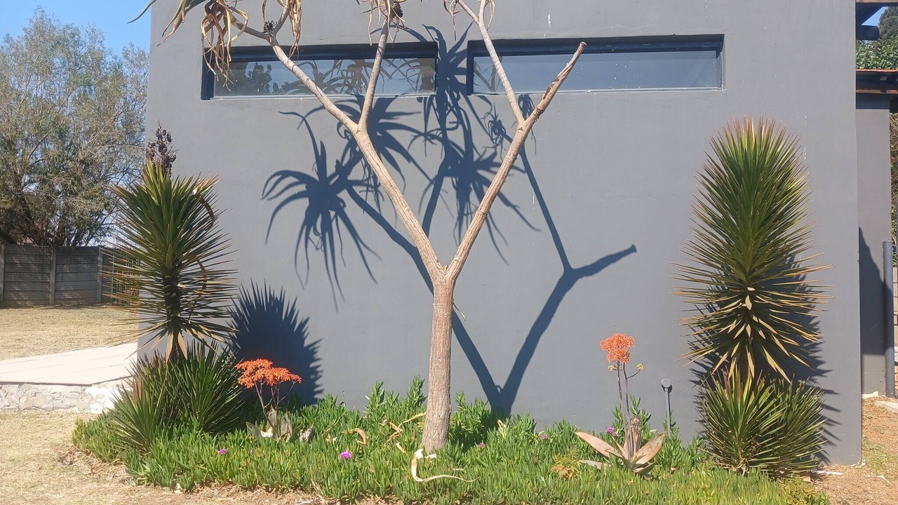 Photo of Outdoor in Alberton
