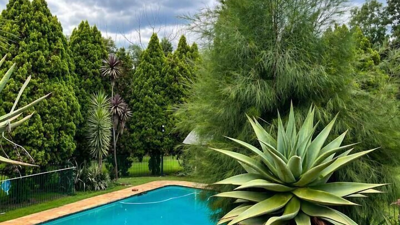 Photo of Outdoor in Greater Johannesburg Metropolitan Area