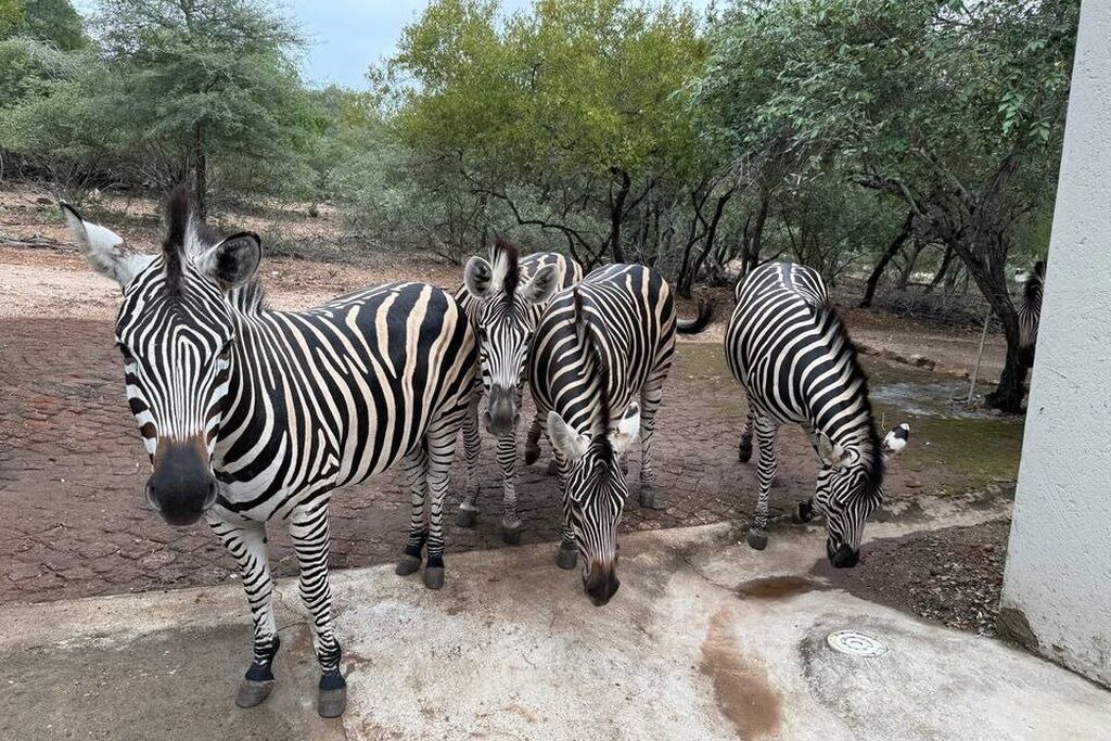 Photo of Others in Marloth Park