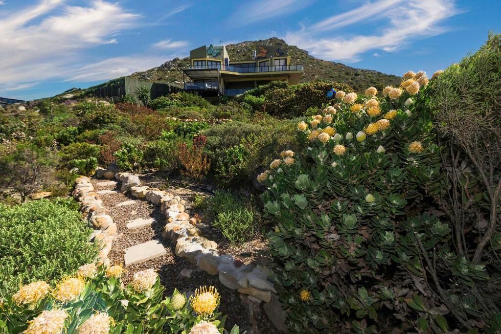 Photo of Outdoor in Pringle Bay