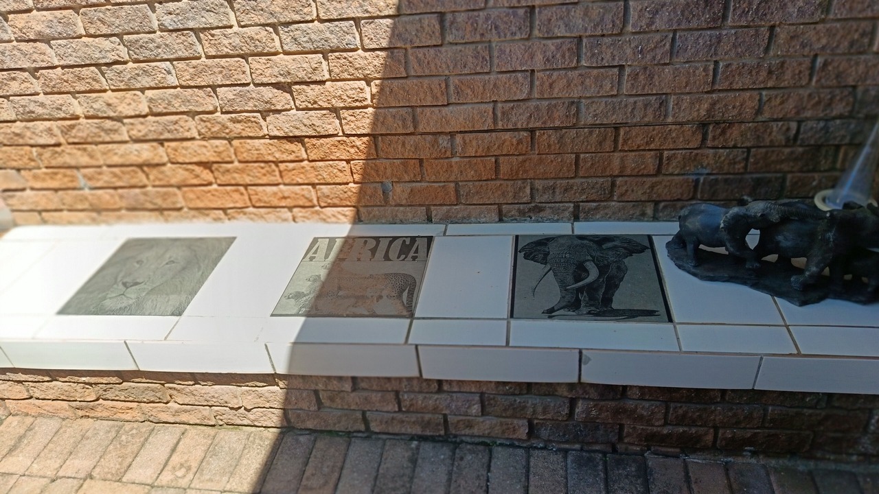 Photo of Outdoor in Sabie