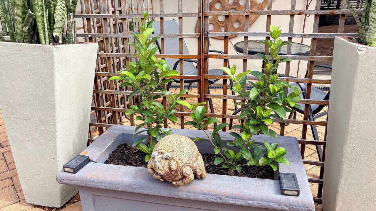 Photo of Outdoor in Polokwane