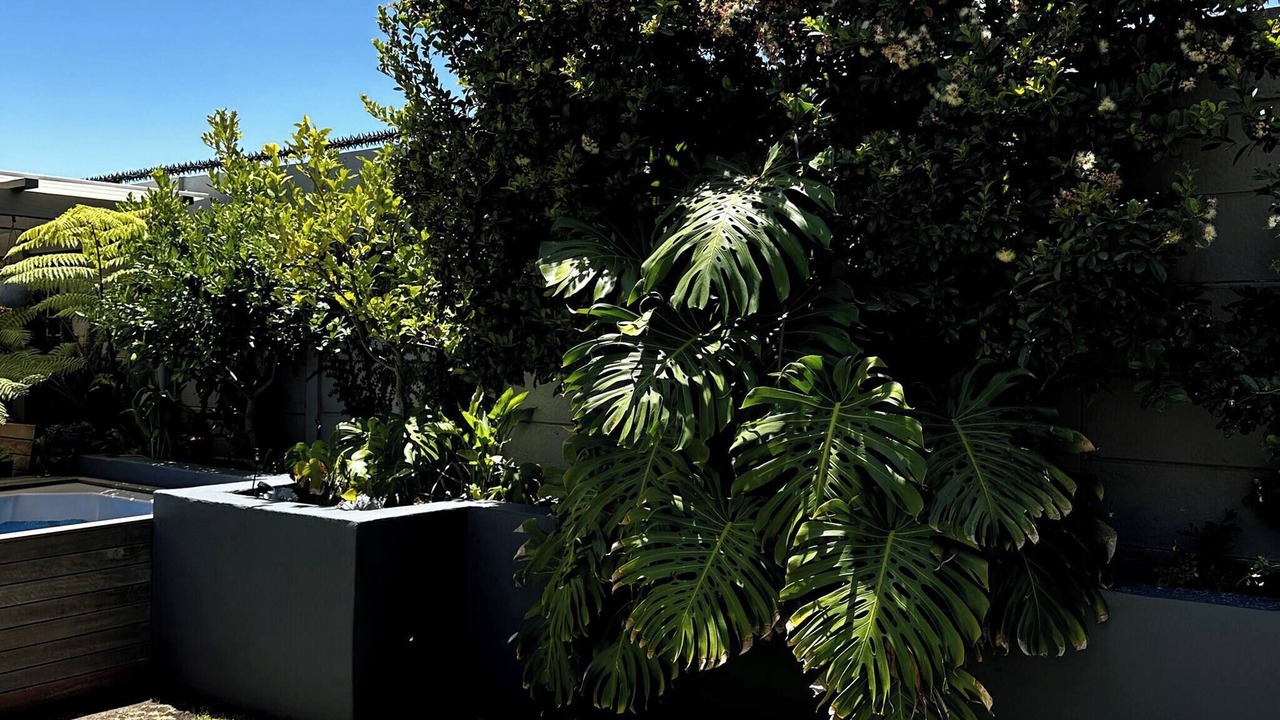 Photo of Outdoor in Blouberg Rise
