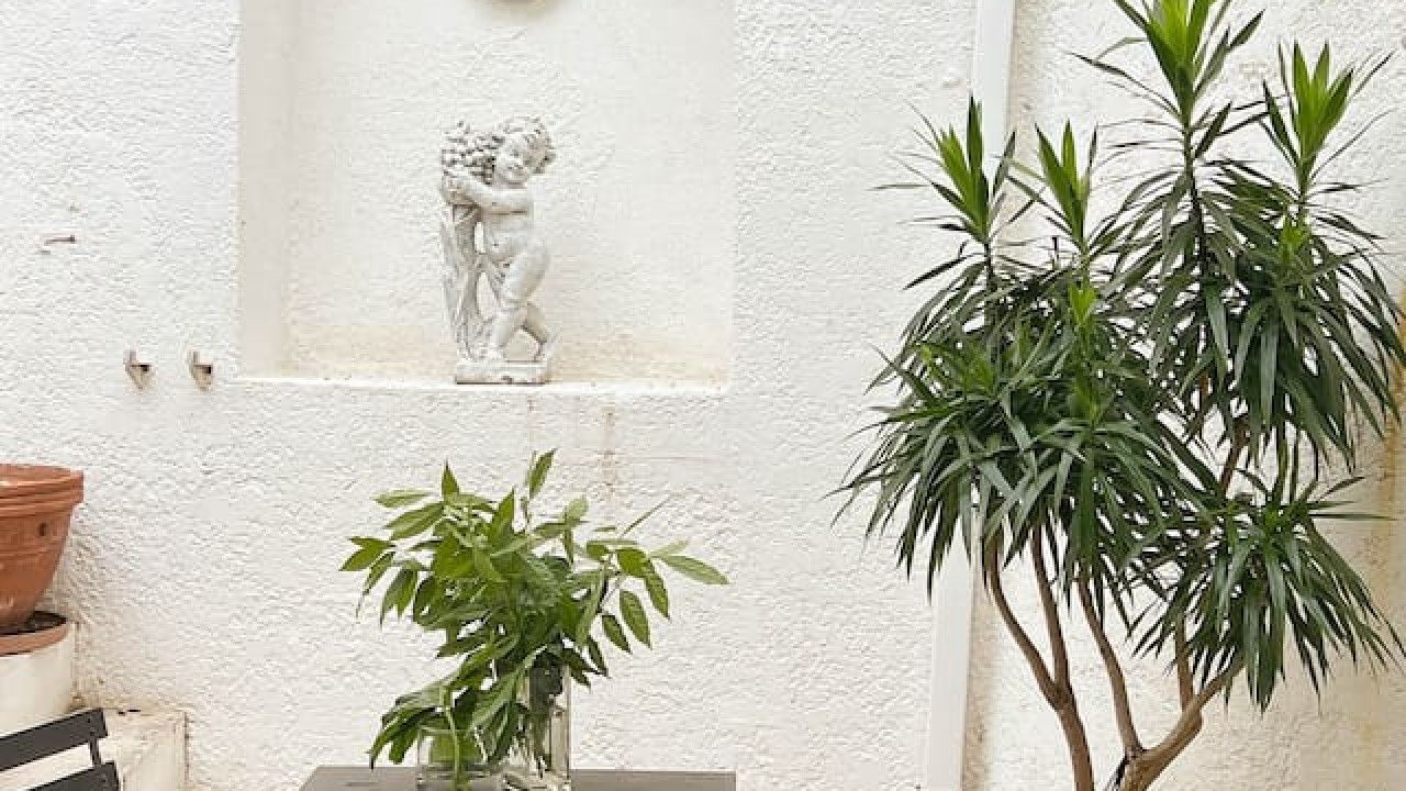 Photo of Patio Balcony in Clifton