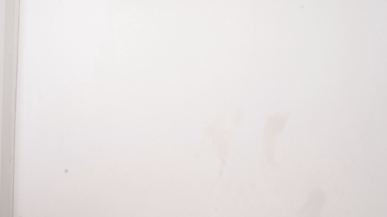 Photo of Others in Cape Town